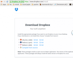 dropbox kod guvenligi2